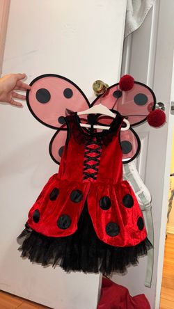 Lady bug kids costume