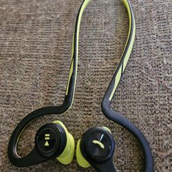 Ear Buds/headset