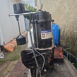 Cast Iron Sump Pump 3/4 Hp 