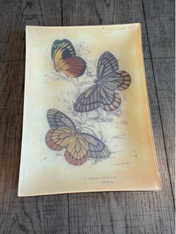 Glass Butterfly Plate