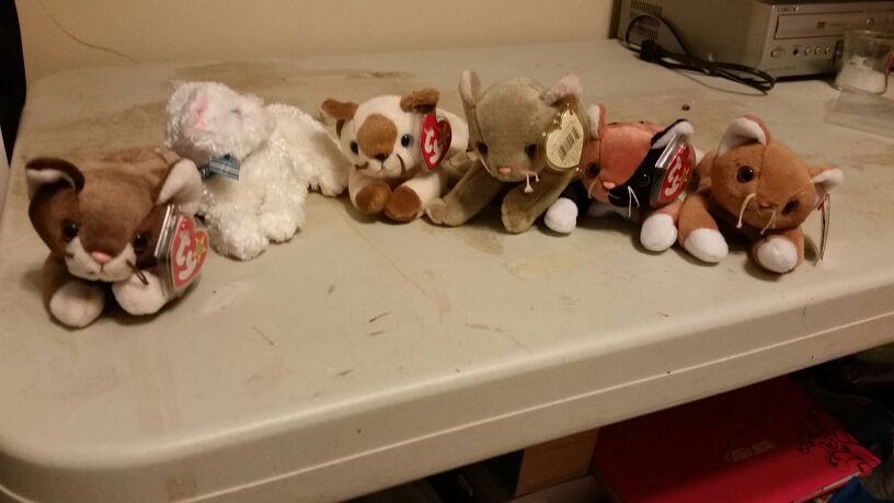 Hallmark beanie babies ty cats