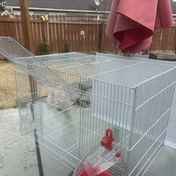 Bird Cage 