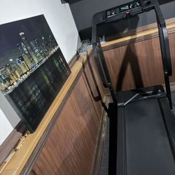 Weslo Cadence 920 Treadmill