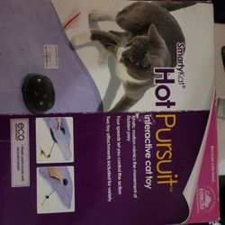 cat toy