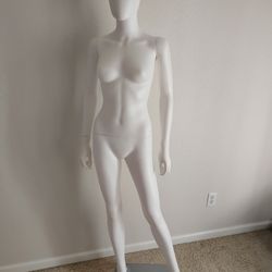  manikin