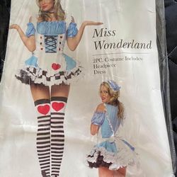 Halloween Costume Alice In Wonderland 