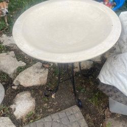 Bird Bath