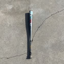  Baseball Bat