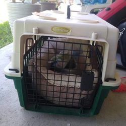 Casita Para Perro Y Cama