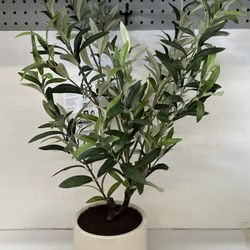 Faux 30” Olive Plant 