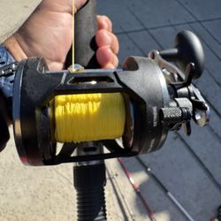 Penn Fishing Rod And Reel