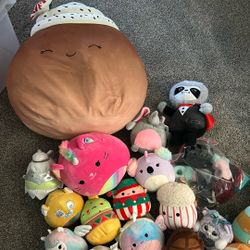 Lot Of Squishmallows Plushies And Accessories 