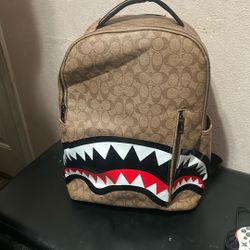 spray backpack 
