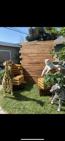 Wood Backdrop, Crates & Jungle Animals