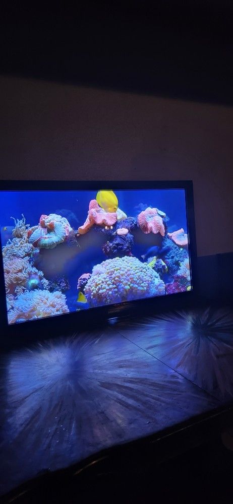 2 nice Smart tv bundle $299 or sold separately