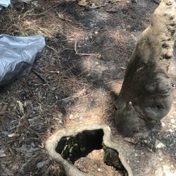 Seasoned Firewood   Shed Kept Exoctic Wood  Burls/ Cypress Drift Wood And Large Knees  Call Or Text 337-342-9006