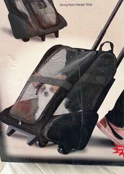 PET STROLLER …on wheels