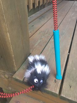 Dog/Cat Agility Training Lure Wand Toy - 88" Long - Like New