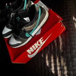 nike sb dunk lows!!