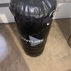 Punching Bag