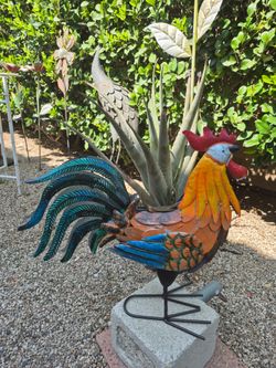Rooster
