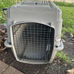 Dog Large Kennel 
