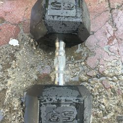 65 Lbs Dumbbell 