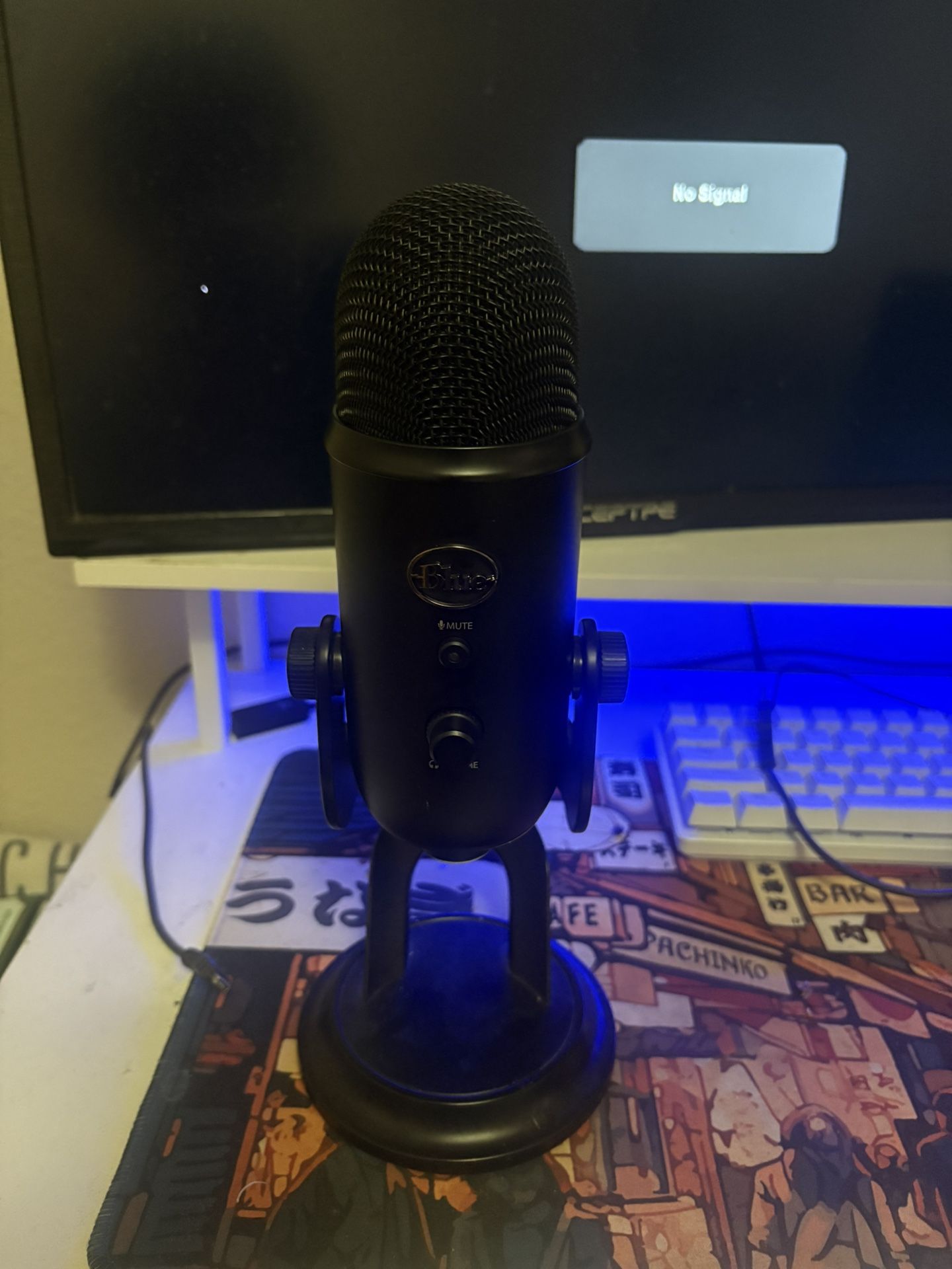 Blue Yeti Mic
