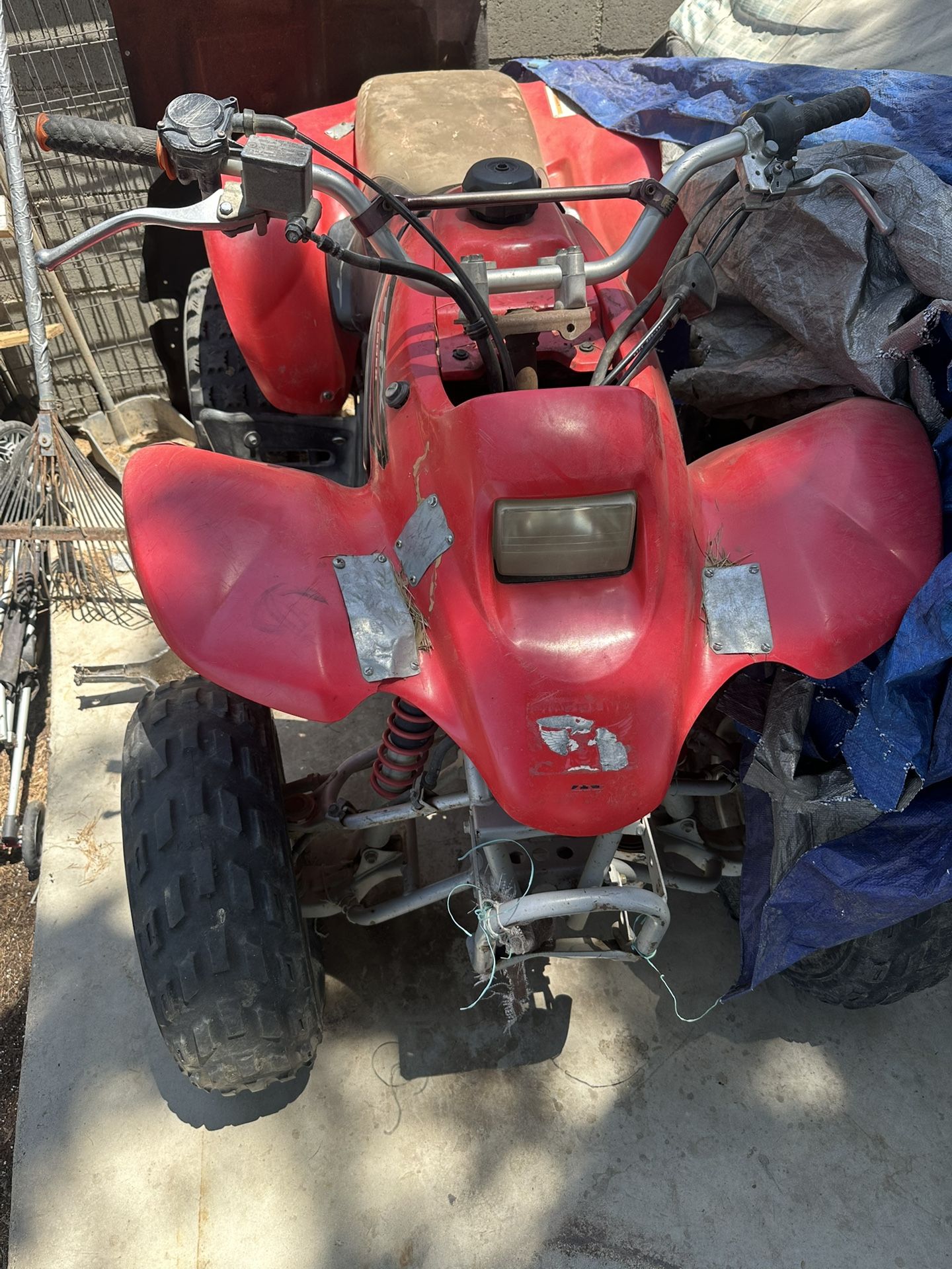 Trx250ex