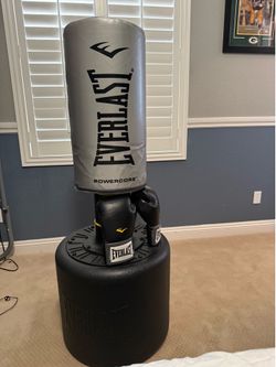 Everlast powercore boxing bag with gloves