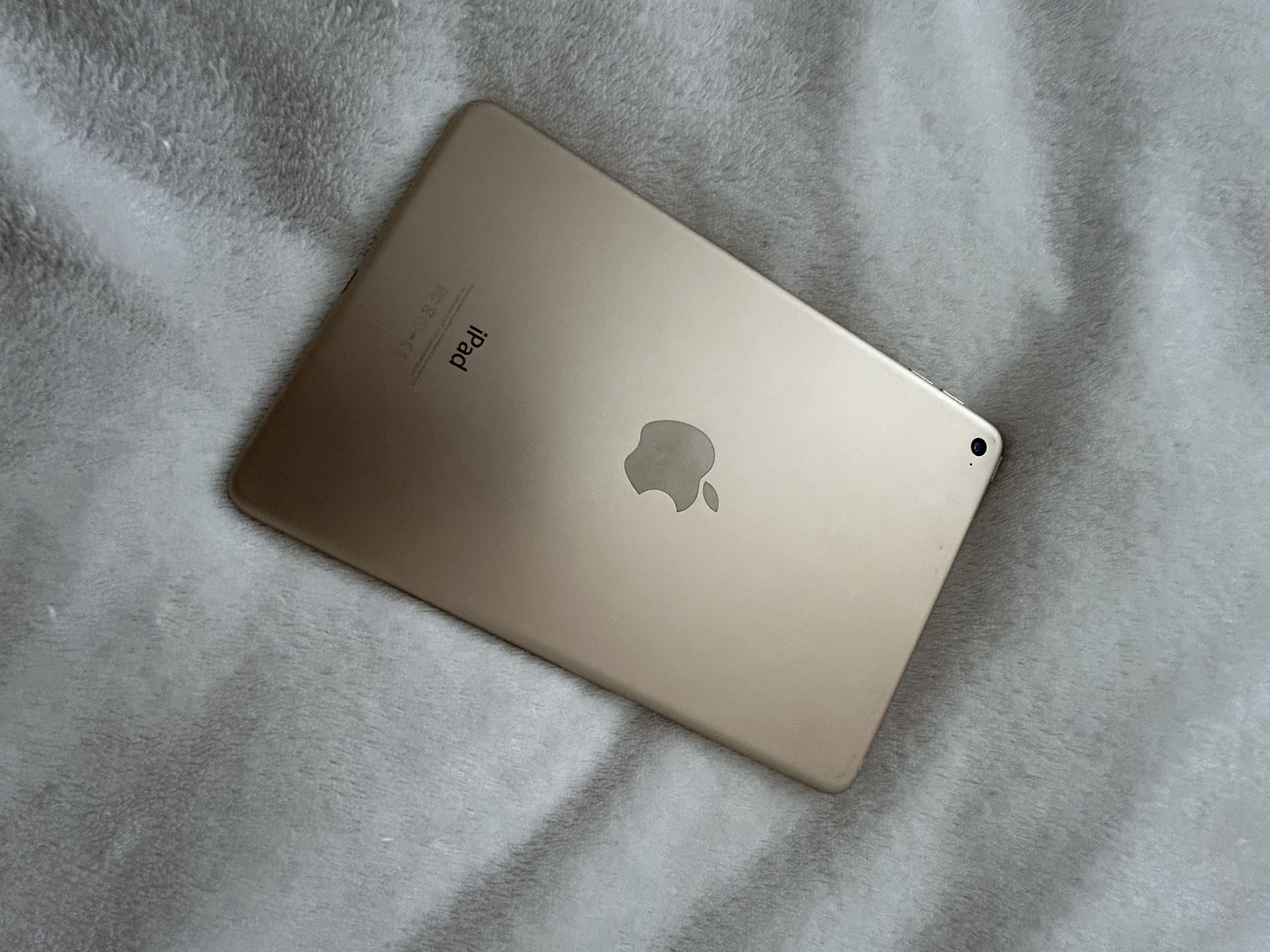 iPad Mini