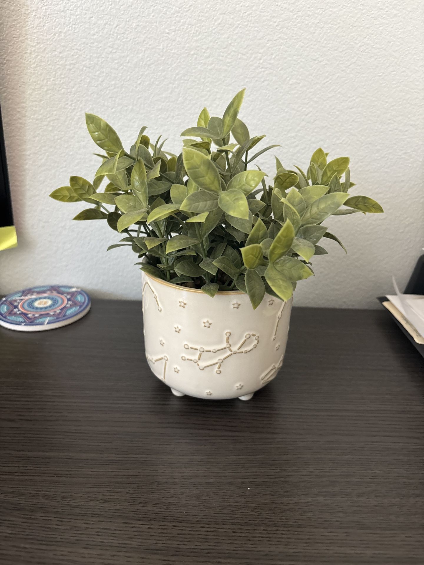 Decorative plant in a Pot