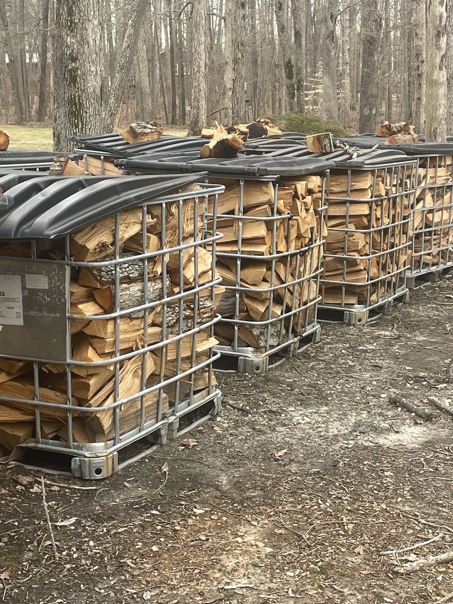 Oak Firewood