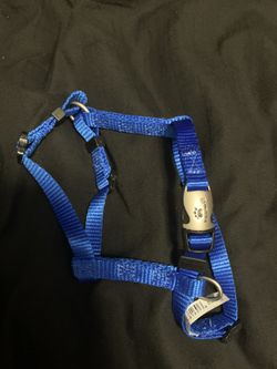 xs Dog harness
