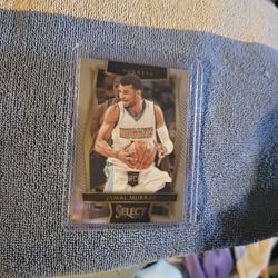 Jamal Murray, Nikola Jokic Cards