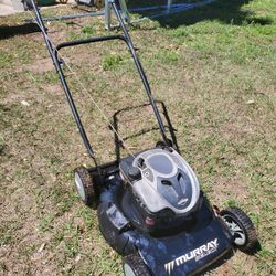 Murray Select 21" 6hp Briggs & Stratton Push Mower