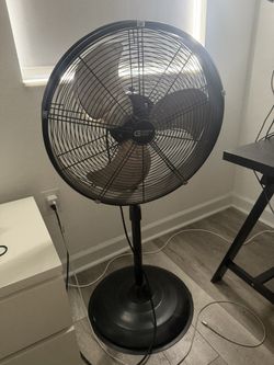 Fan