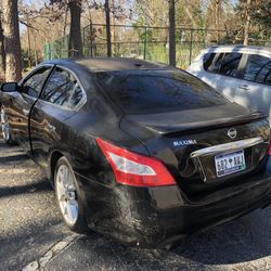 2010 Nissan Maxima