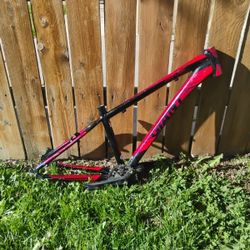 Giant Revel Frame 