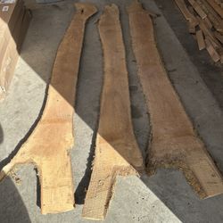 Maple Slabs