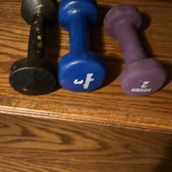 Hand Weights 