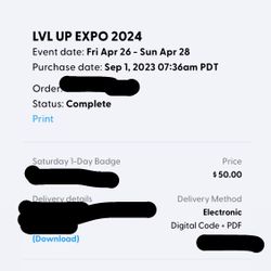 LVL UP EXPO SATURDAY BADGE