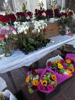 Mother Day Flower $25