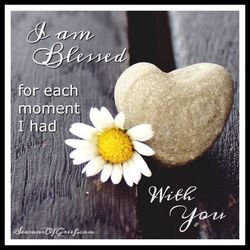 NFL collectable plate