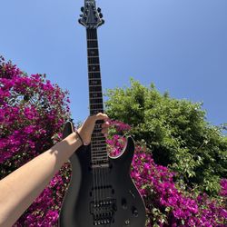 Schecter Evil Twin