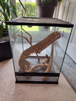 Terrarium $40