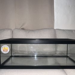 Snake Tank