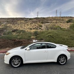 2008 Scion tC