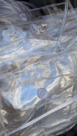 25 Clear plastic bags