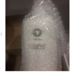 Fresca puré Shower Filter